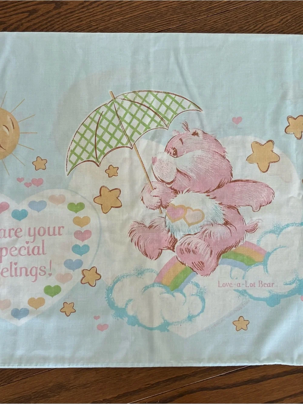 Care Bears Pillowcase Vintage 1980's Love-a-Lot Bear Bedtime Bear Pink Blue